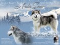 /album/fotogalerie-cooper-nukka-de-lobo-arctic-snow/cooper-3-jpg/